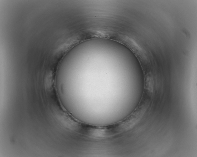 X0000112070318200908111439