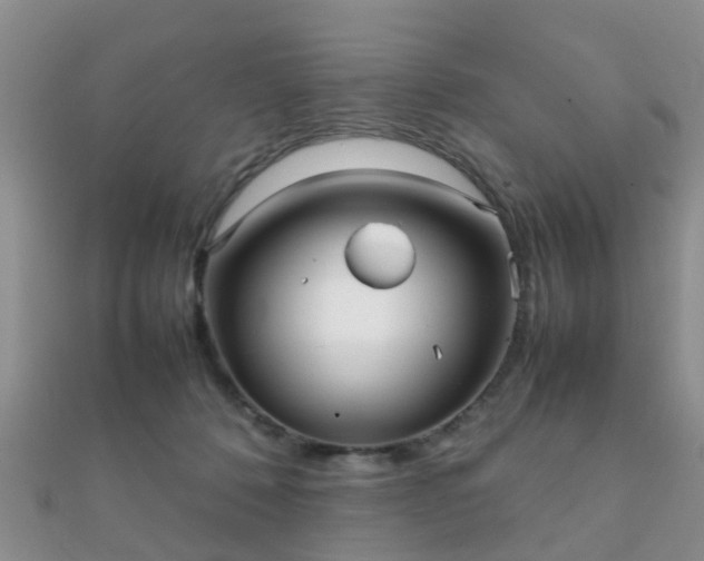 X0000112070320200908111439