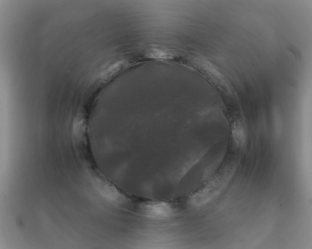 X0000112070322200908111439