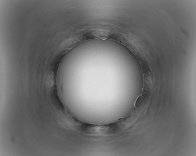 X0000112070323200908111439