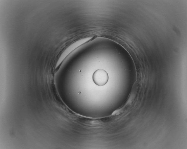 X0000112070324200908111439