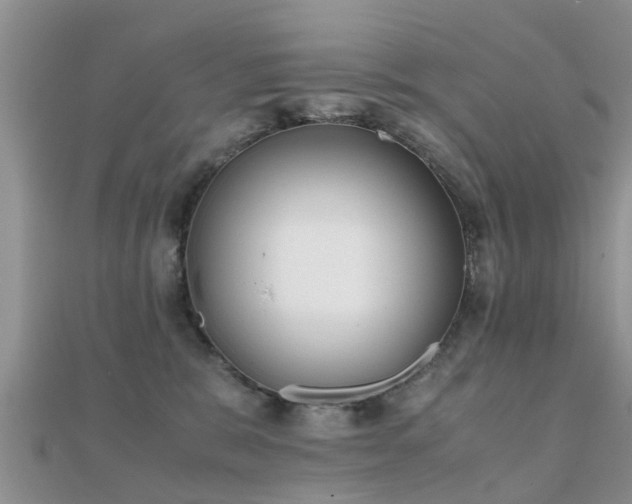 X0000112070327200908111439