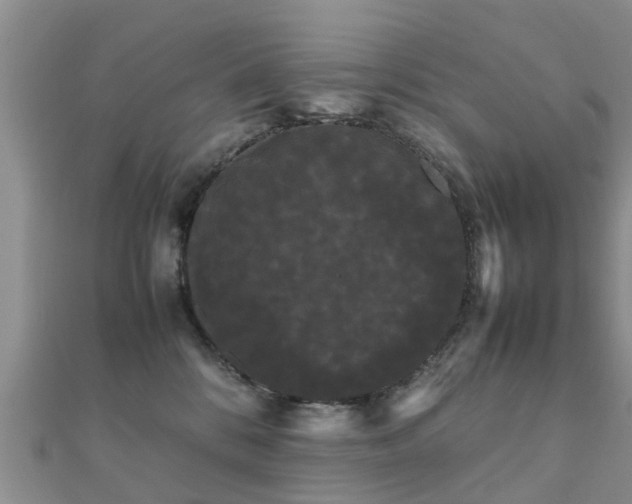 X0000112070328200908111439