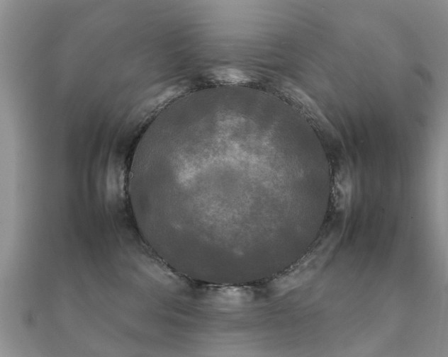 X0000112070330200908111439