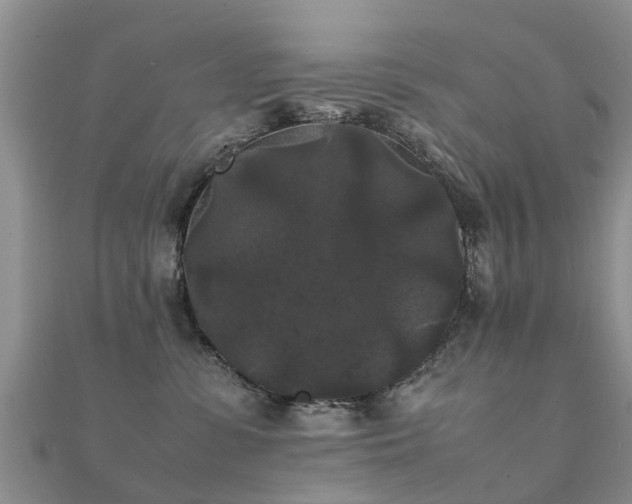 X0000112070331200908111439