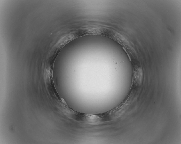 X0000112070333200908111438