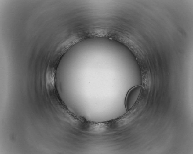 X0000112070334200908111438