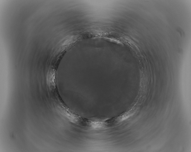 X0000112070336200908111438