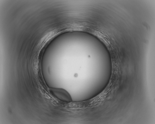 X0000112070338200908111438