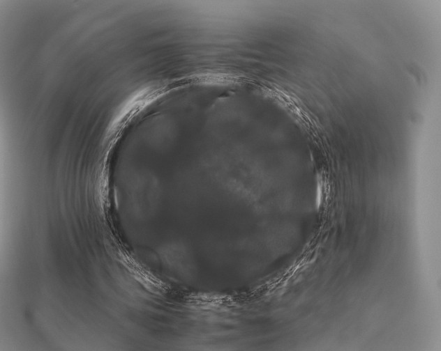 X0000112070339200908111438