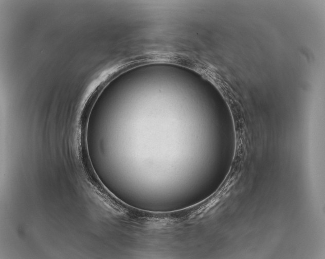 X0000112070342200908111438