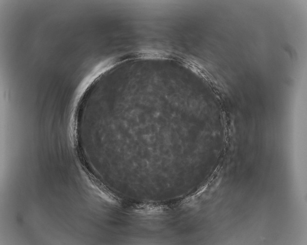 X0000112070343200908111438