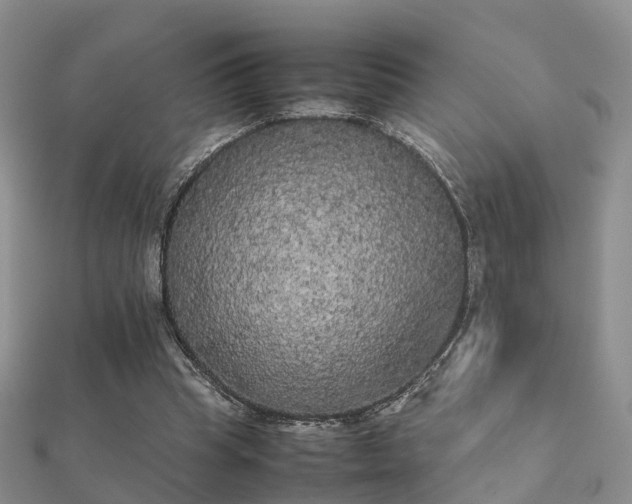 X0000112070345200908111438