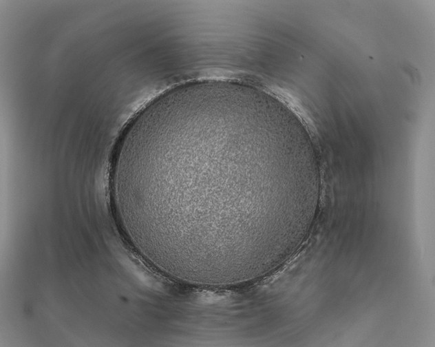 X0000112070346200908111438