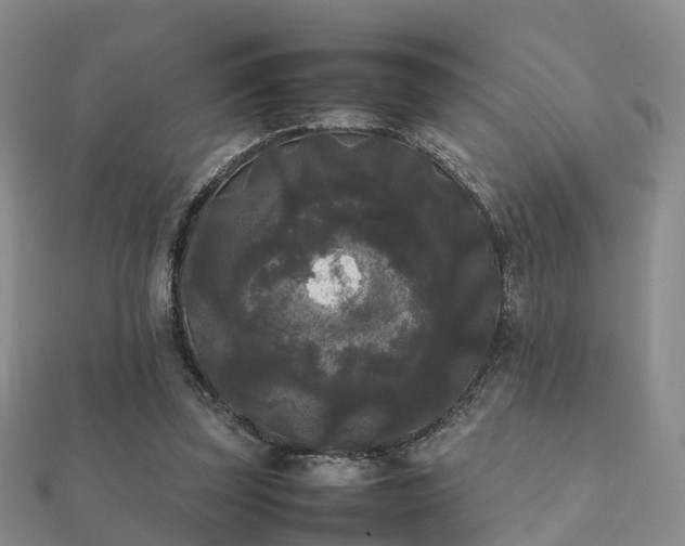 X0000112070347200908111438