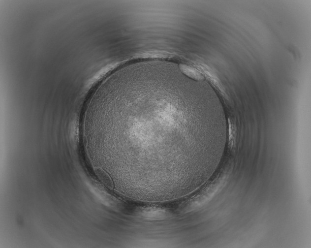 X0000112070348200908111438