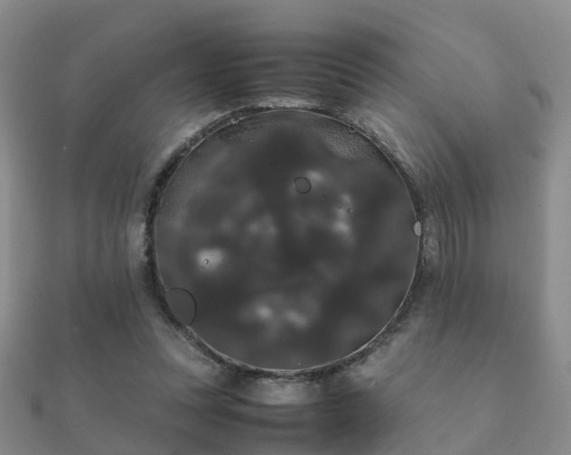 X0000112070351200908111438