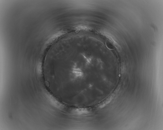 X0000112070353200908111438