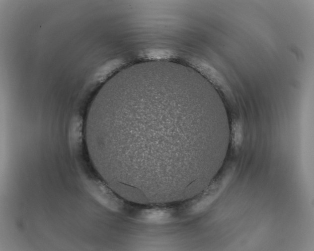 X0000112070356200908111438