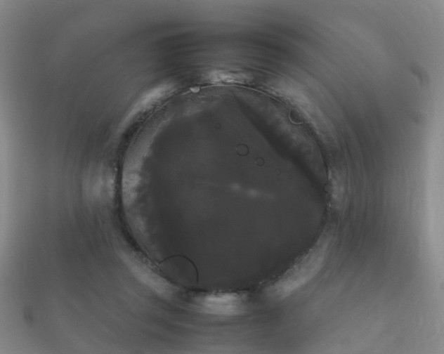 X0000112070357200908111438