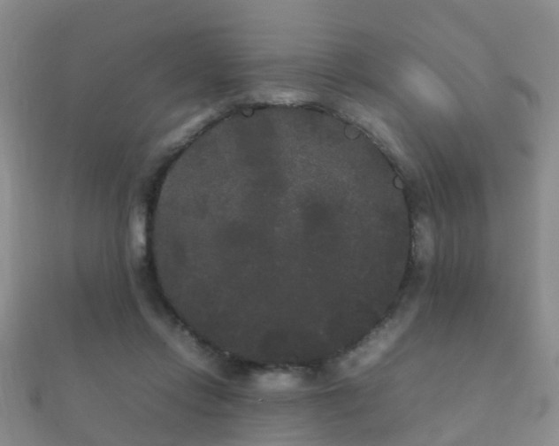 X0000112070358200908111438