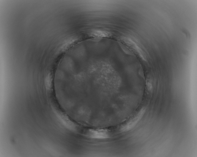 X0000112070359200908111438