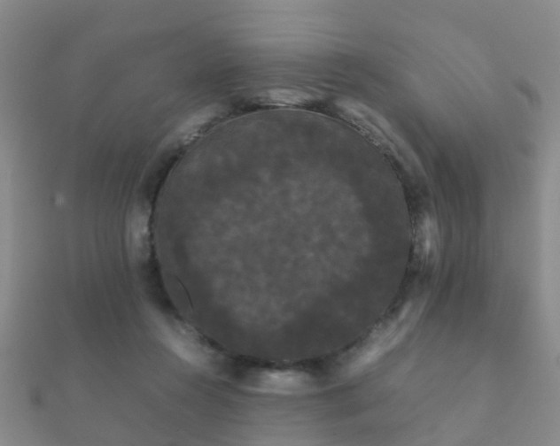 X0000112070360200908111438