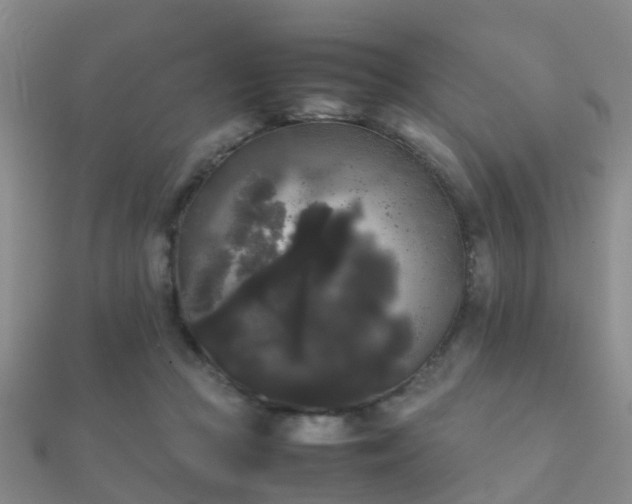 X0000112070361200908111438