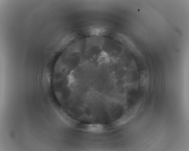 X0000112070363200908111438