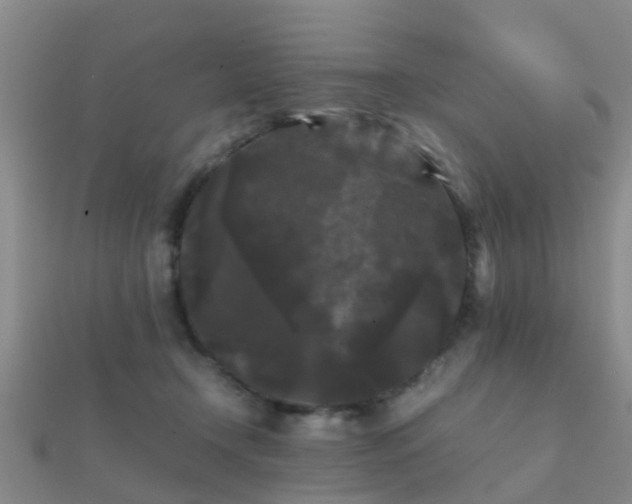 X0000112070366200908111438