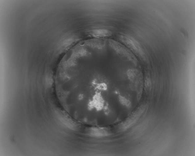 X0000112070367200908111438