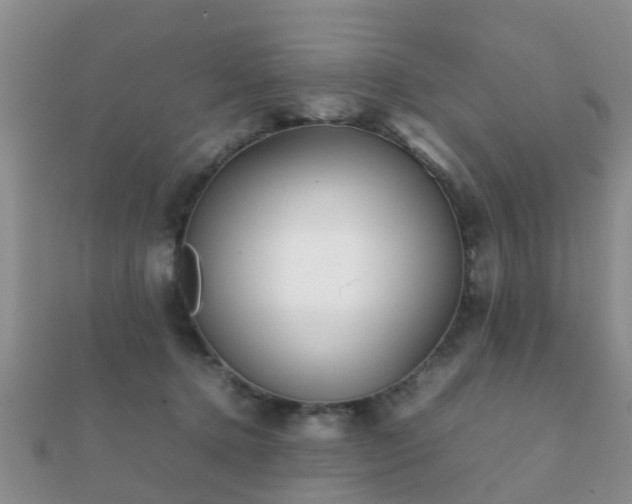 X0000112070368200908111438