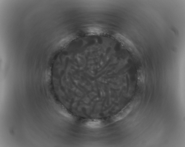 X0000112070369200908111438