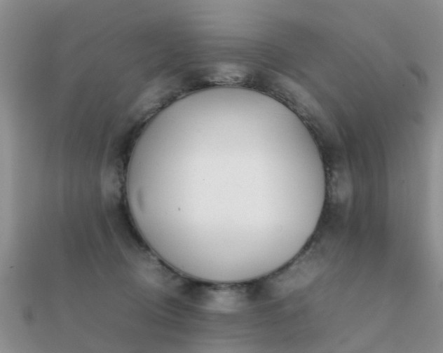 X0000112070370200908111438