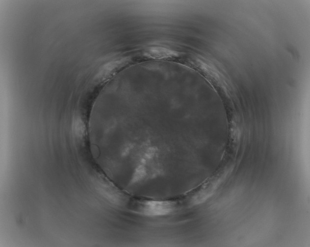 X0000112070371200908111438