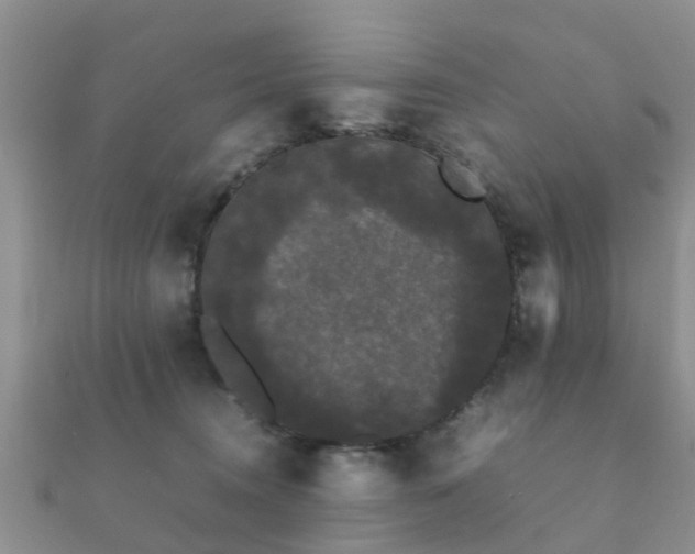 X0000112070372200908111438