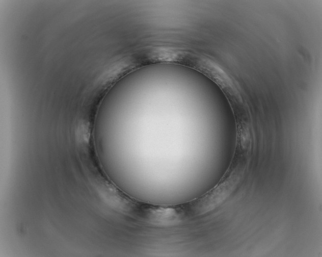 X0000112070374200908111438