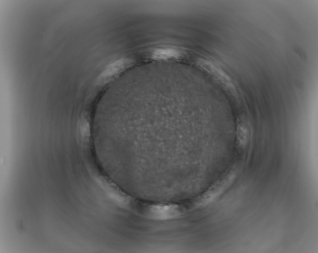 X0000112070375200908111438