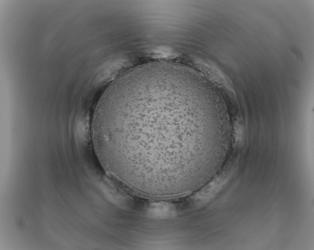 X0000112070376200908111438