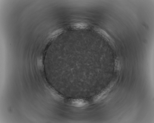 X0000112070377200908111438