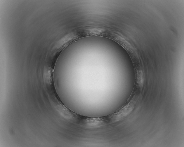 X0000112070378200908111438