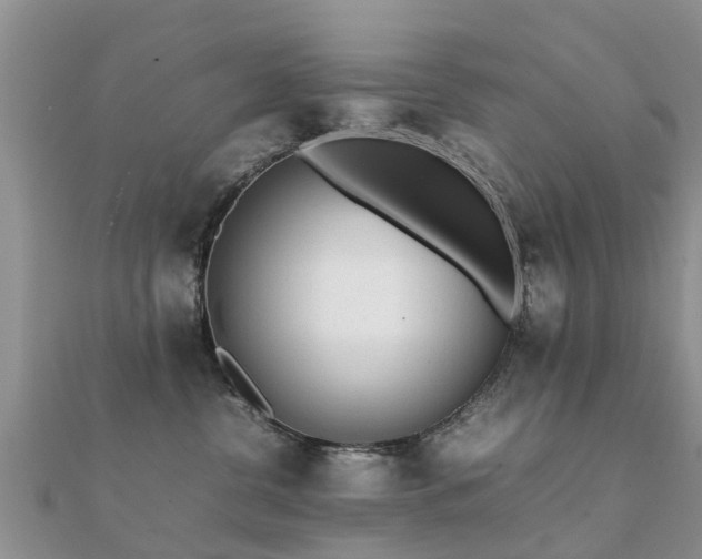 X0000112070380200908111438