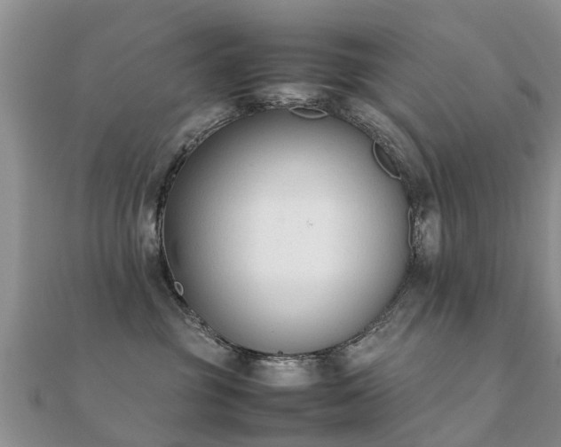 X0000112070381200908111438