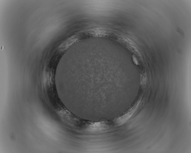 X0000112070382200908111438