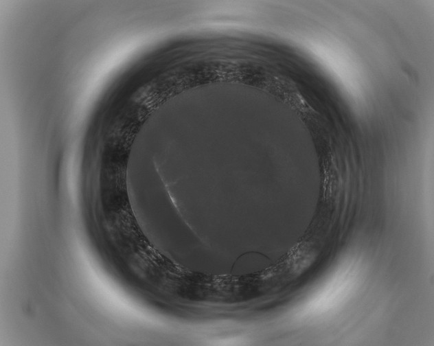 X0000112070383200908111438