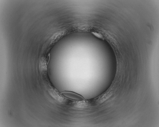 X0000112070384200908111438