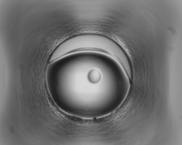 X0000112070385200908111438