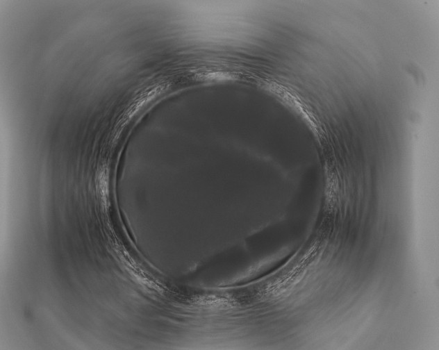 X0000112070386200908111438