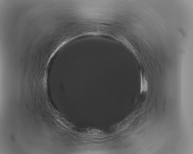 X0000112070387200908111438