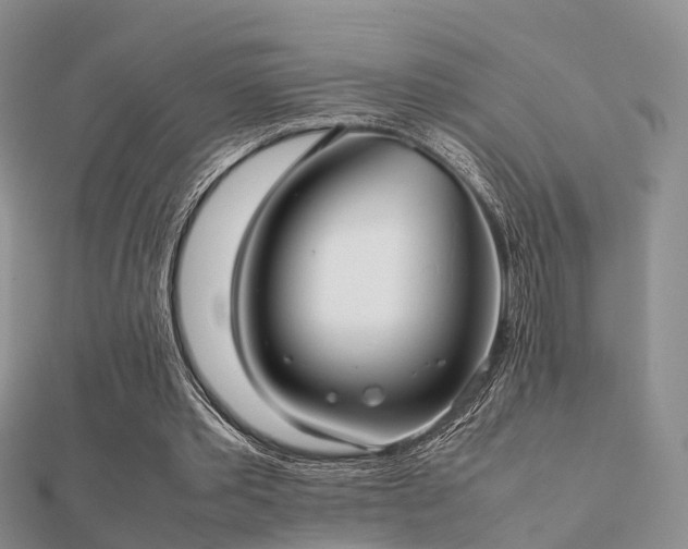 X0000112070389200908111438